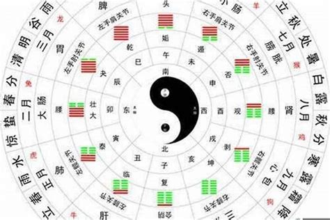 天干地支八字 金木水火土月份